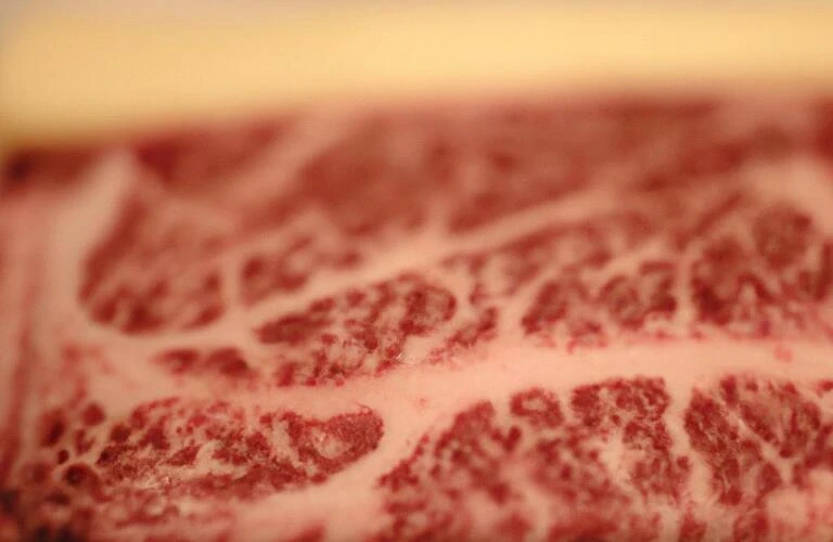 尾崎牛で彩る特別なひとときを