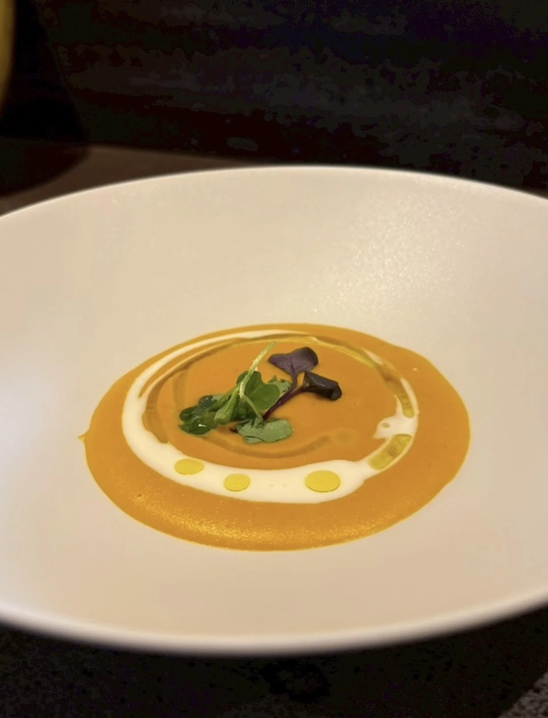 9月限定！季節の味覚を心ゆくまで堪能する特別コース🍽️✨